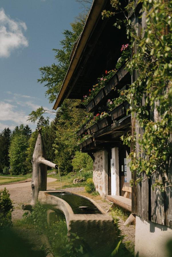 Der Hirschen Hotel Sankt Märgen Екстериор снимка